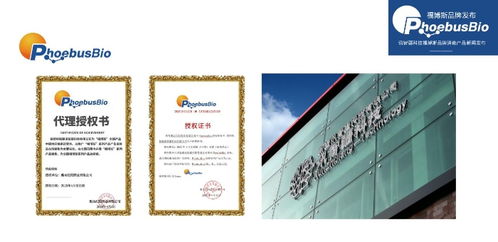 攜手創新 共筑健康屏障——訊智疆科技成功召開福博斯品牌消毒液產品新聞發布會